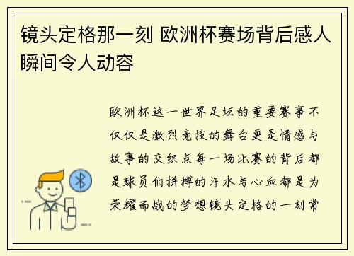 镜头定格那一刻 欧洲杯赛场背后感人瞬间令人动容